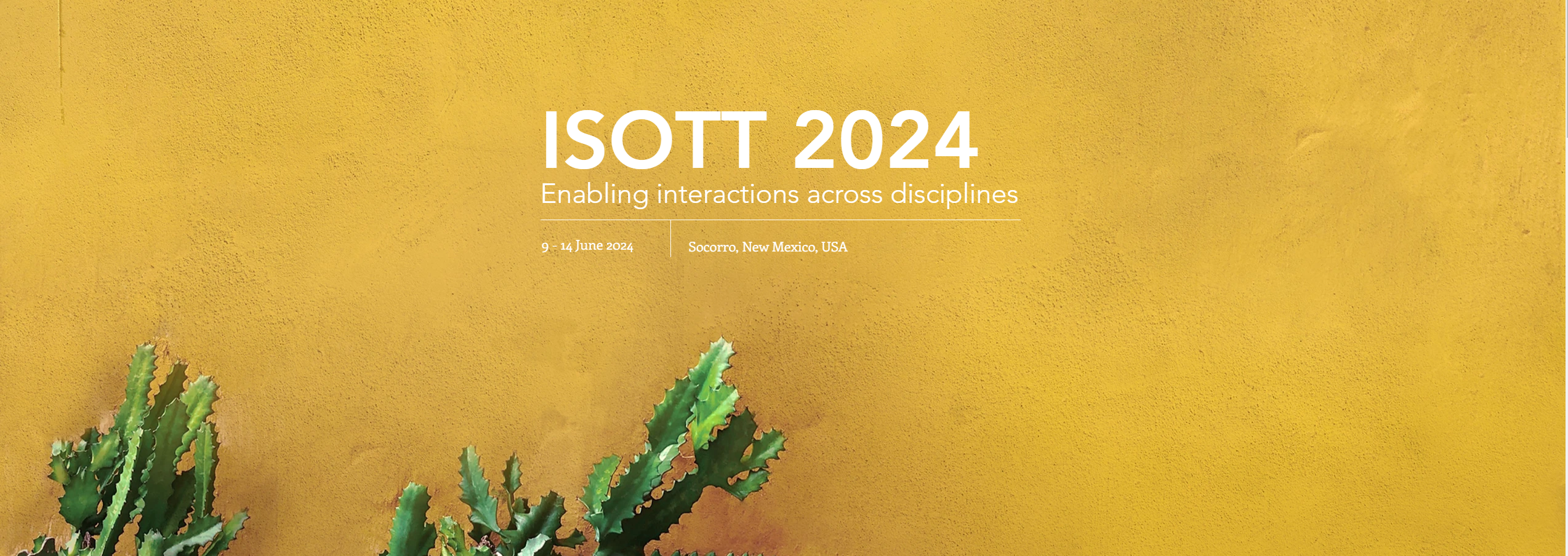 International Society on Oxygen Transport to Tissue (ISOTT) 2024 international conference