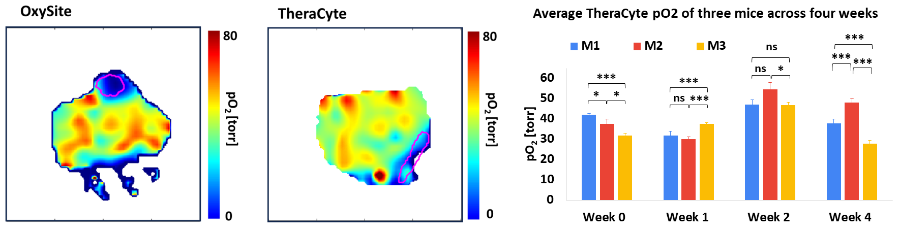 fig2 fig2
